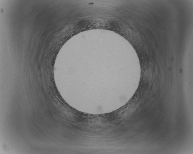 X0000080110769200701051329