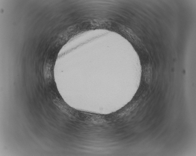 X0000080110770200701051329