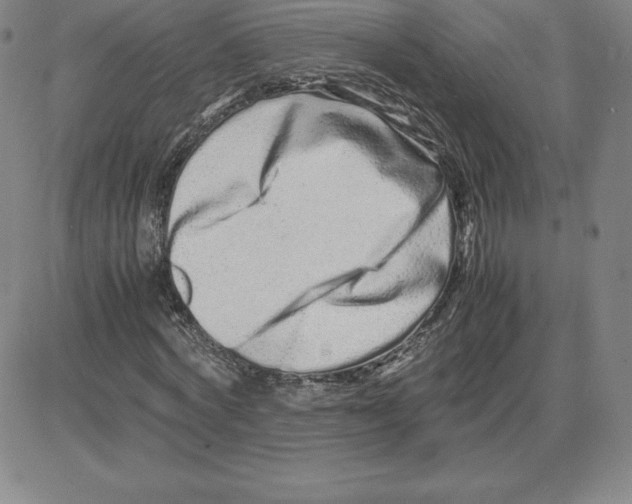 X0000080110772200701051329