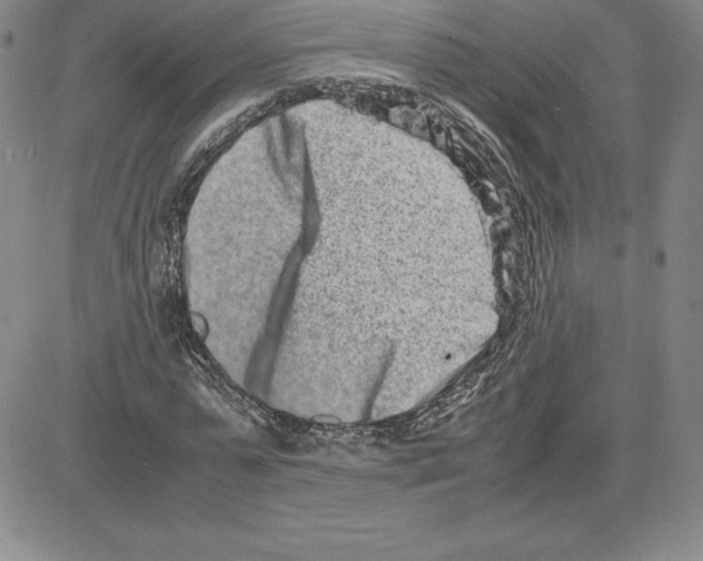 X0000080110775200701051328