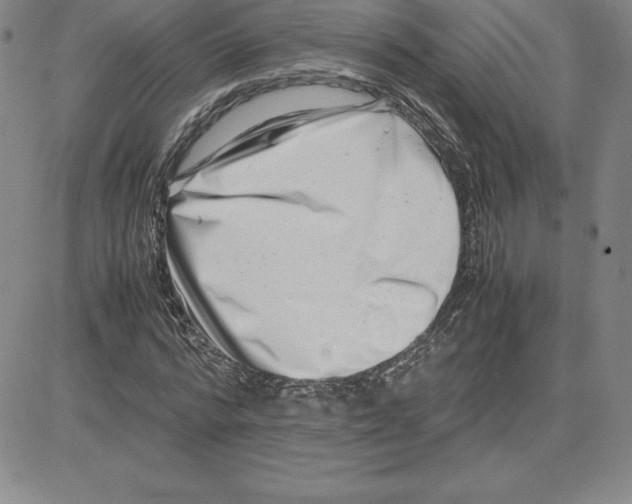 X0000080110776200701051328