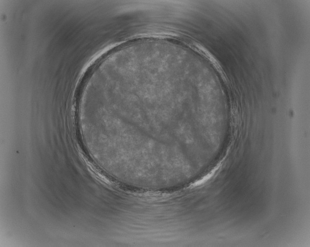 X0000080110779200701051328