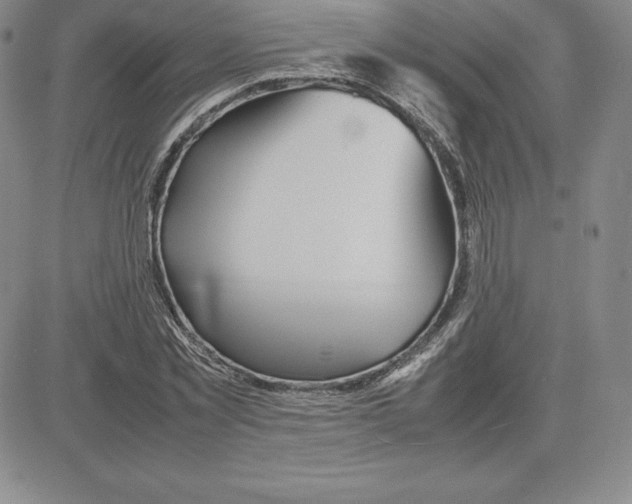 X0000080110781200701051328