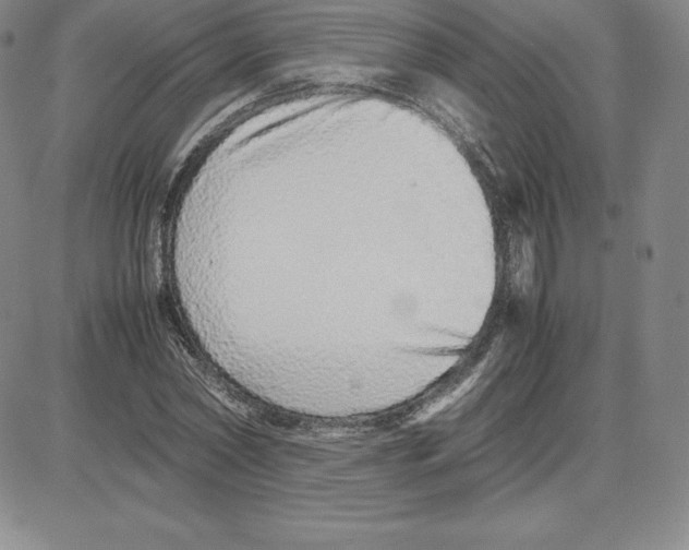 X0000080110782200701051328