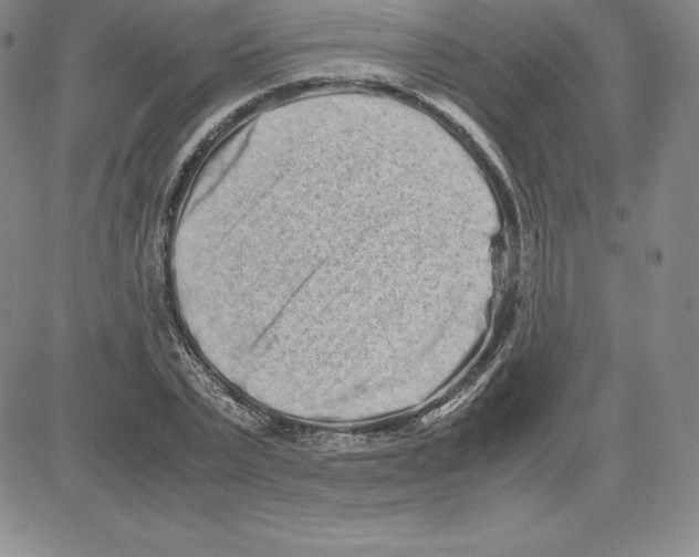 X0000080110783200701051328