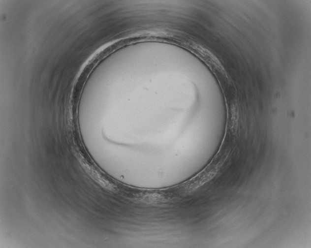 X0000080110784200701051328