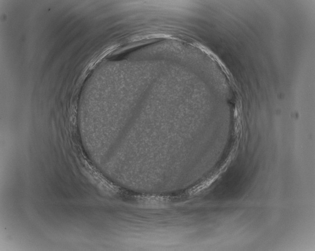 X0000080110785200701051328