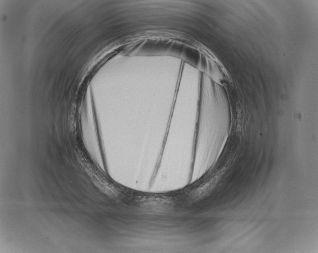 X0000080110786200701051328