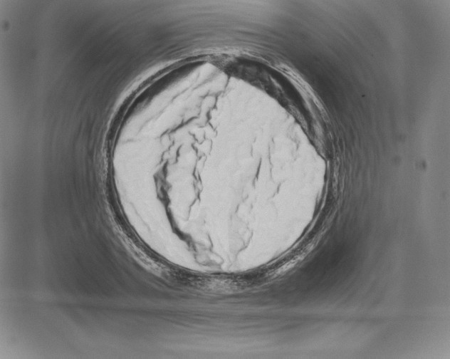 X0000080110787200701051328