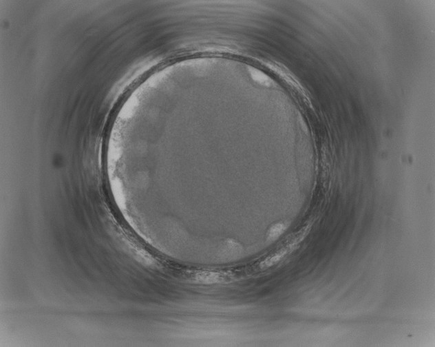 X0000080110790200701051328