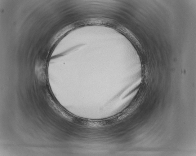 X0000080110794200701051328