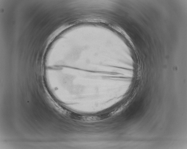 X0000080110795200701051328