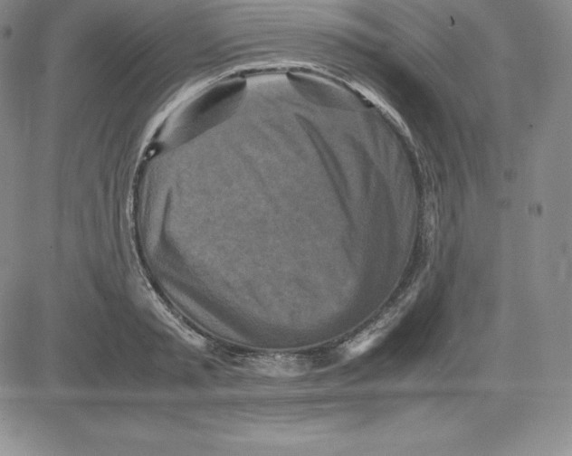 X0000080110797200701051328