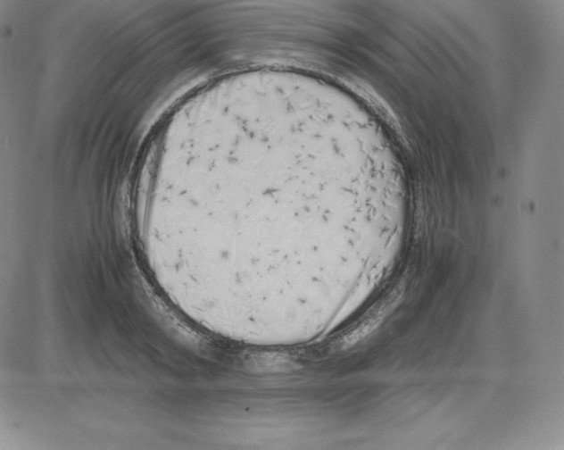 X0000080110798200701051328