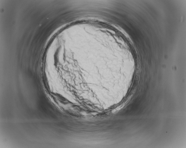 X0000080110799200701051328