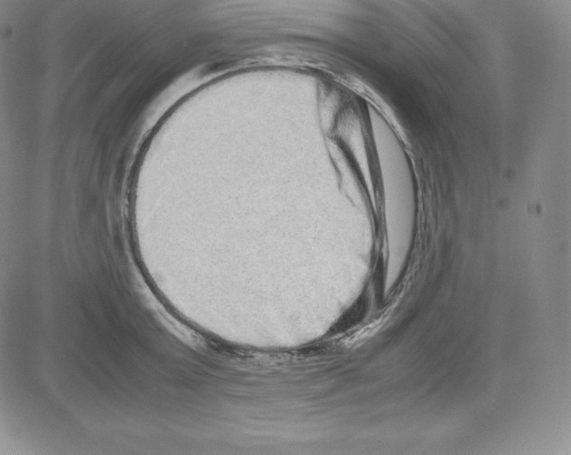 X0000080110803200701051328