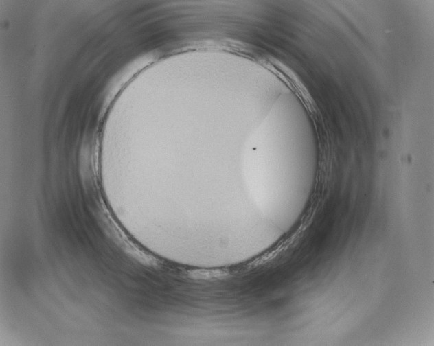 X0000080110804200701051328