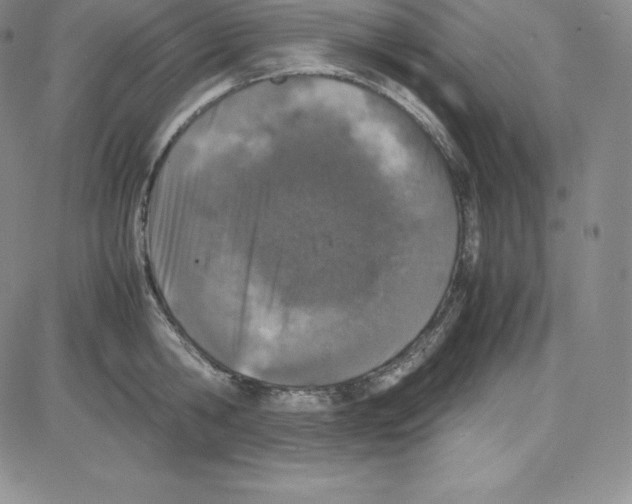 X0000080110806200701051328