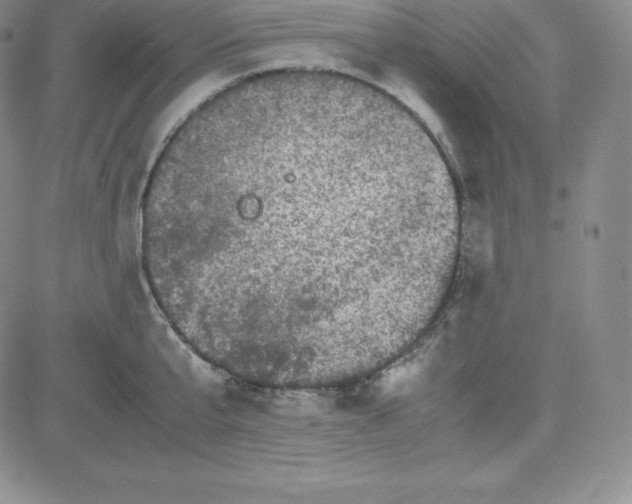 X0000080110807200701051328