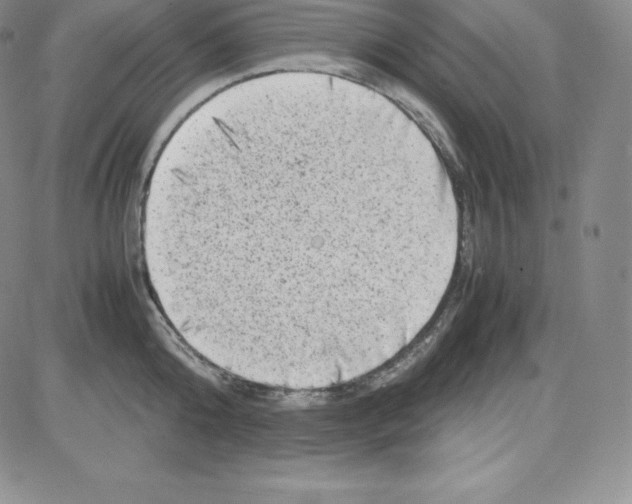 X0000080110808200701051328