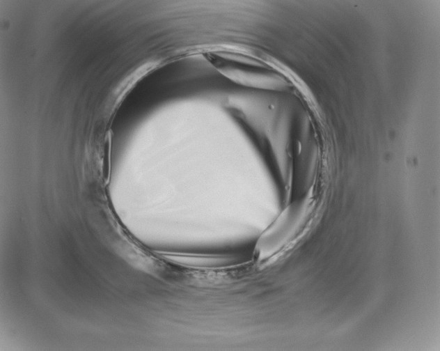 X0000080110809200701051328