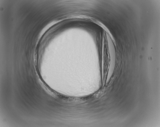 X0000080110811200701051328