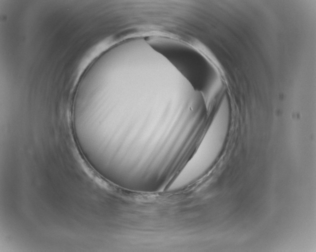 X0000080110813200701051328