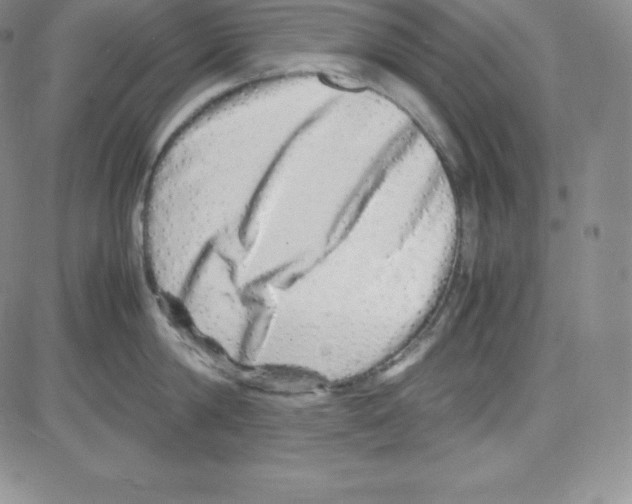 X0000080110814200701051328