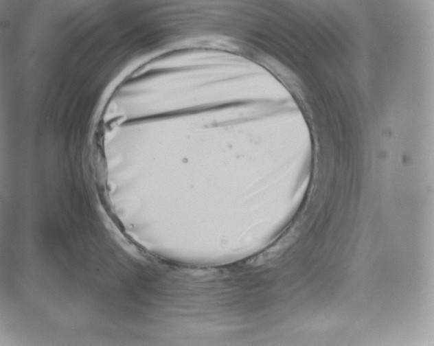 X0000080110816200701051328