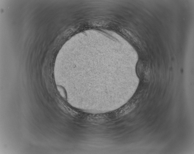 X0000080110817200701051327