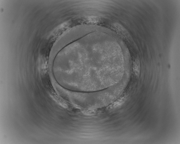 X0000080110818200701051327