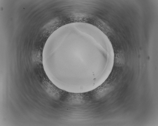 X0000080110820200701051327