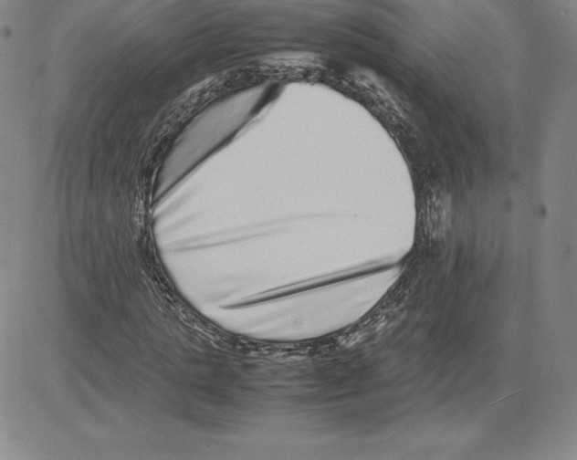 X0000080110821200701051327