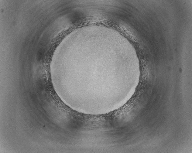 X0000080110824200701051327