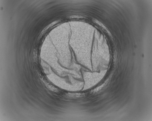 X0000080110825200701051327