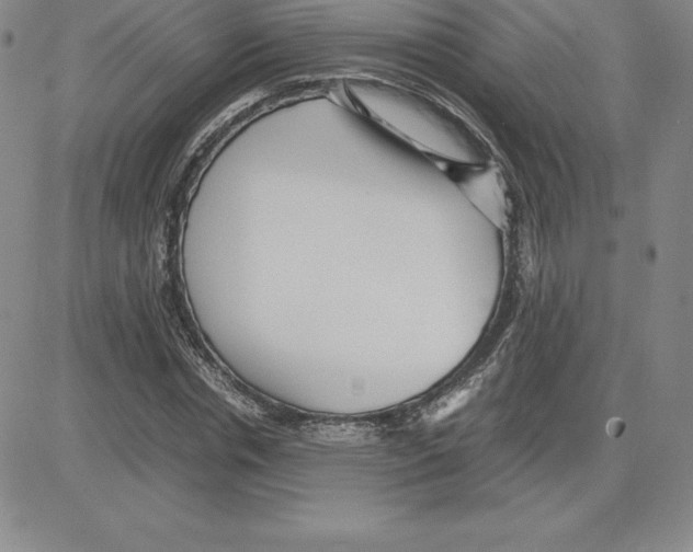 X0000080110826200701051327