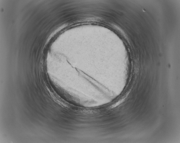 X0000080110827200701051327