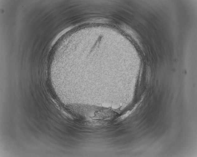 X0000080110829200701051327