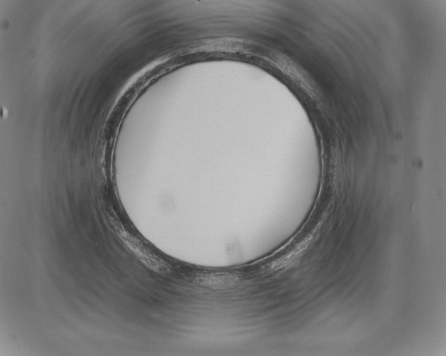 X0000080110830200701051327