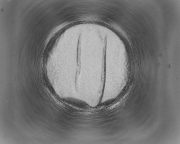 X0000080110831200701051327