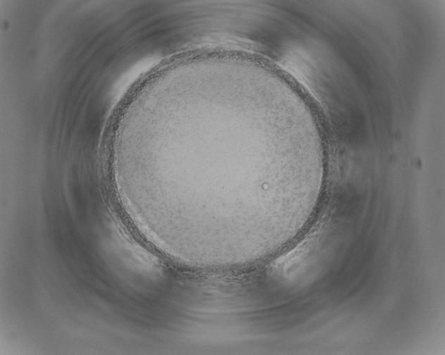 X0000080110832200701051327