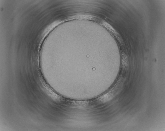 X0000080110836200701051327