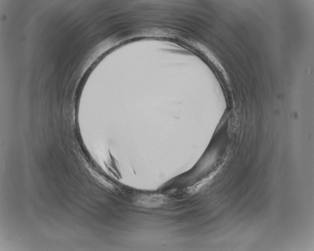 X0000080110837200701051327