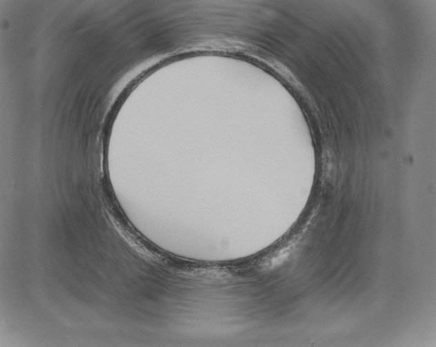 X0000080110838200701051327