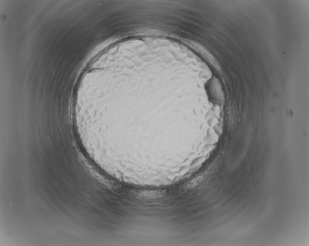 X0000080110839200701051327