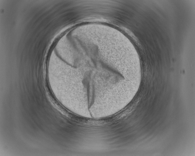 X0000080110840200701051327