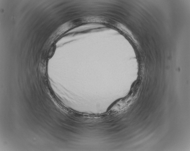 X0000080110841200701051327