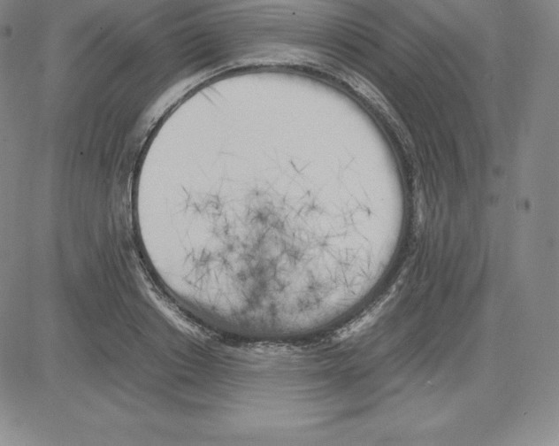 X0000080110842200701051327