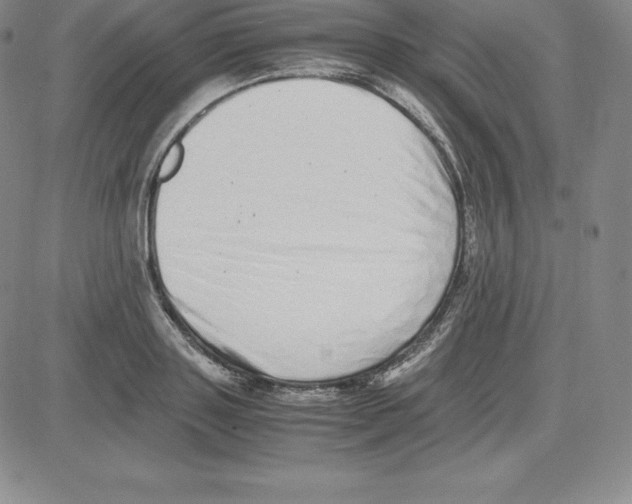 X0000080110843200701051327