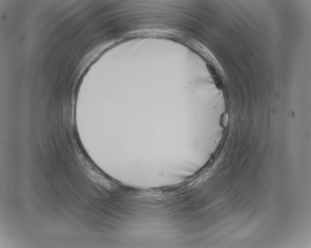 X0000080110844200701051327